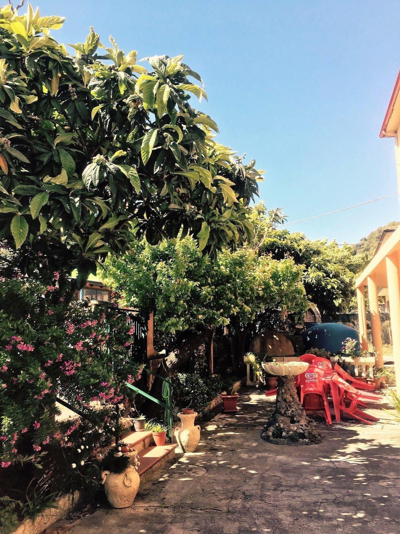 Hotel Ristorante La Mimosa Lamezia Terme Exterior foto